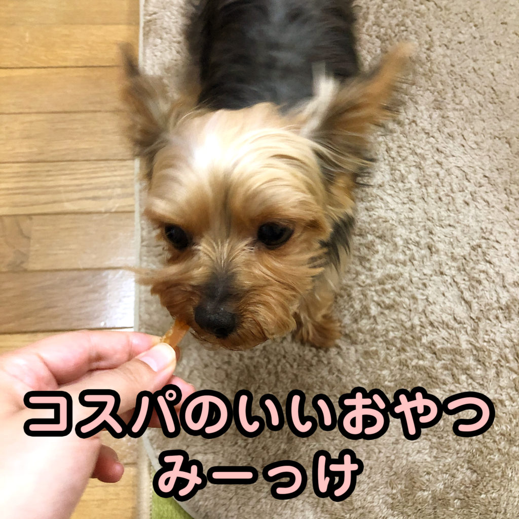 犬のおやつ